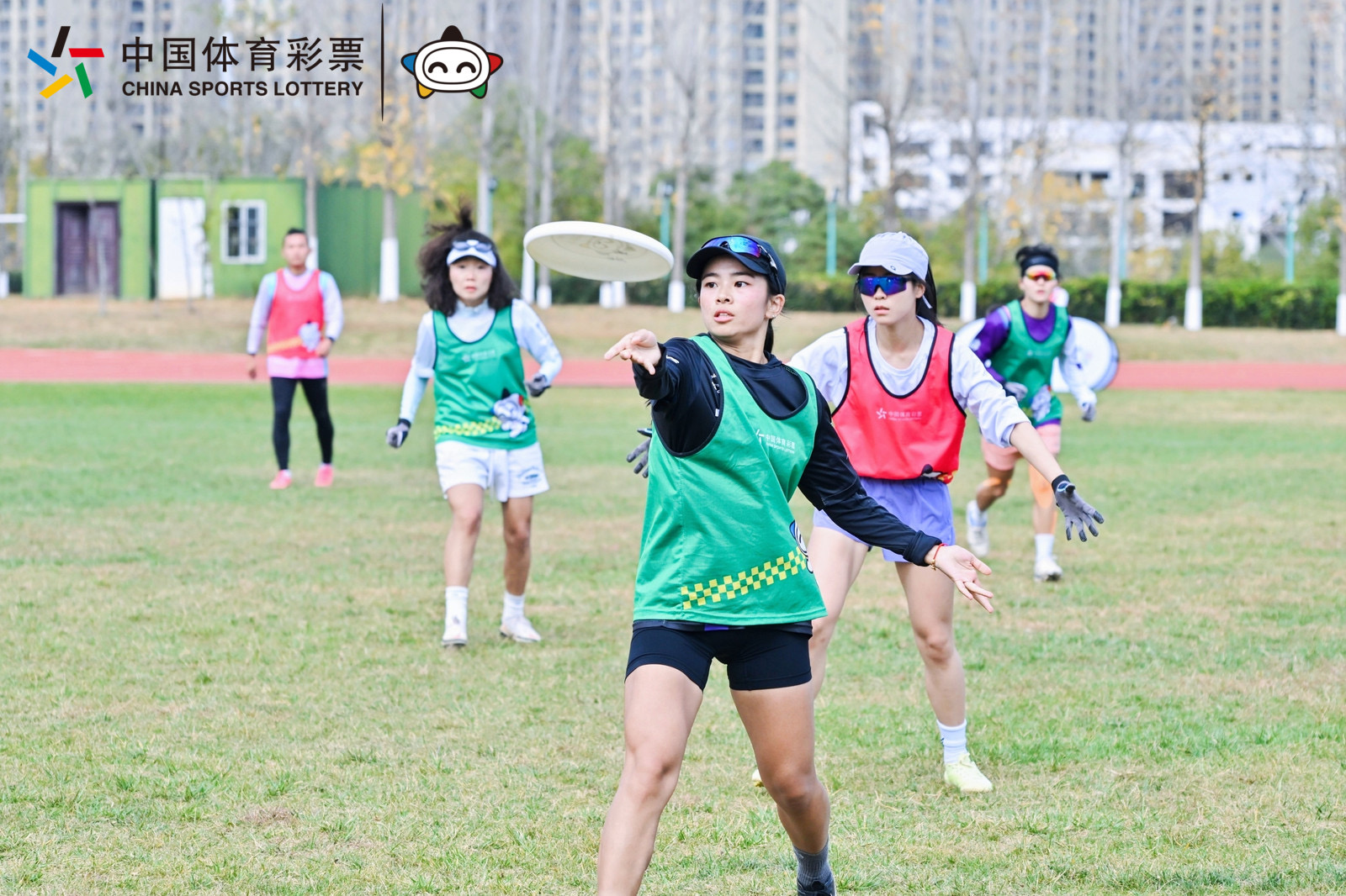 飞盘系列赛