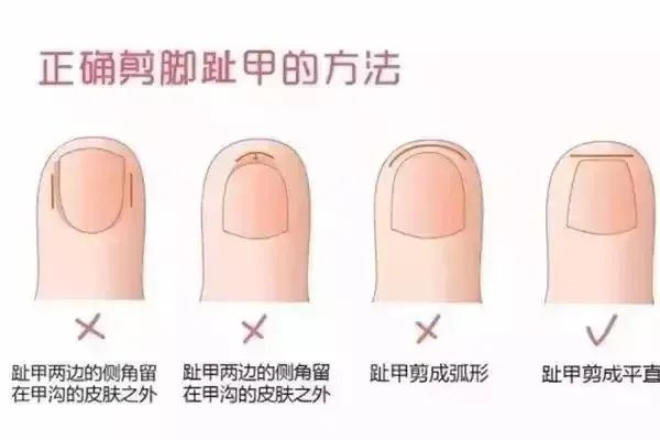 a96f60b7c1db28e7c12f300aa4f7377.jpg