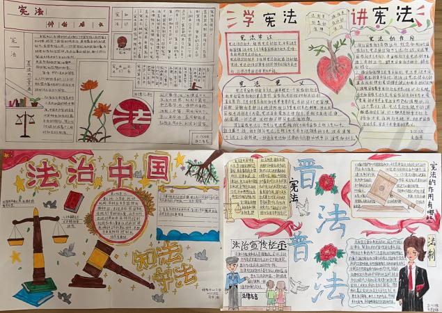杨家中心学校宪法日