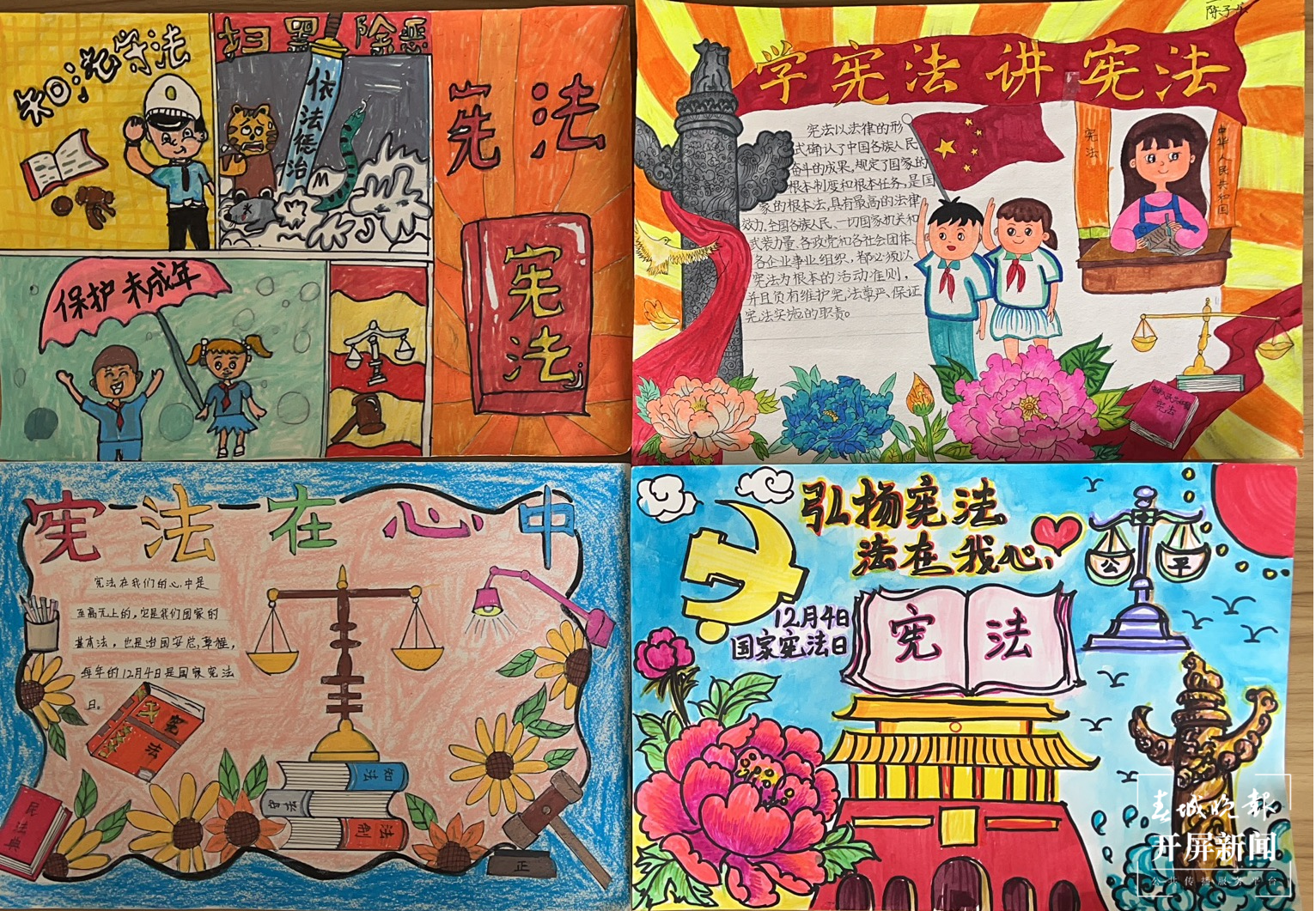 杨家中心学校宪法日