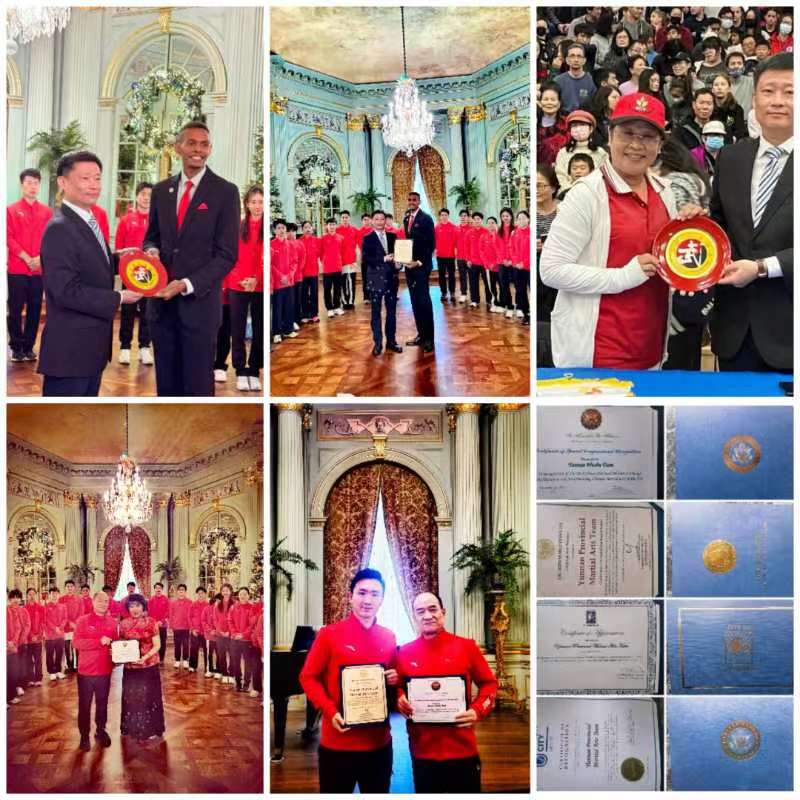 世界武术锦标赛