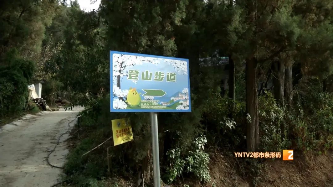 别跑空!昆明这个景点已封闭管理