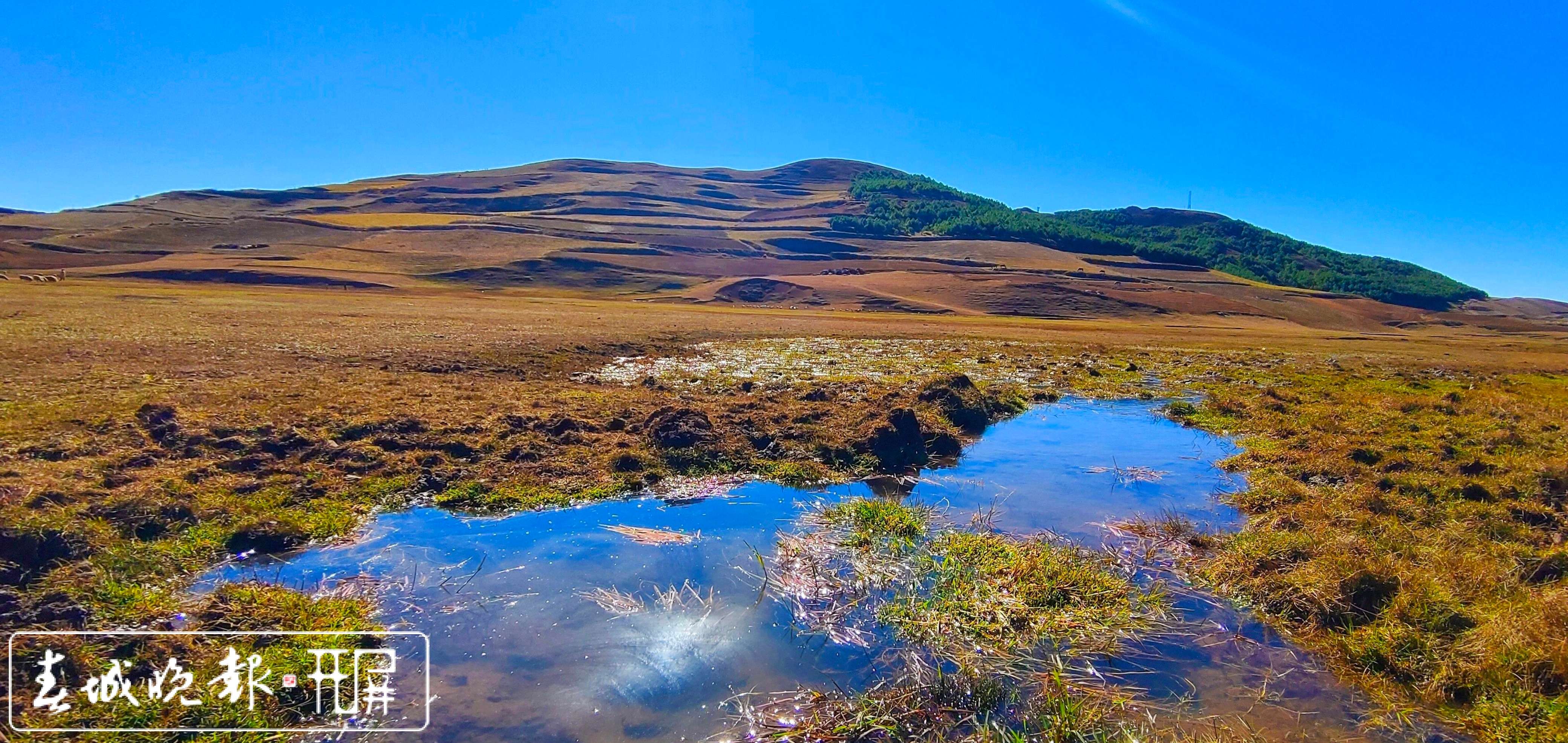 永善大陷凼湿地美景2.jpg