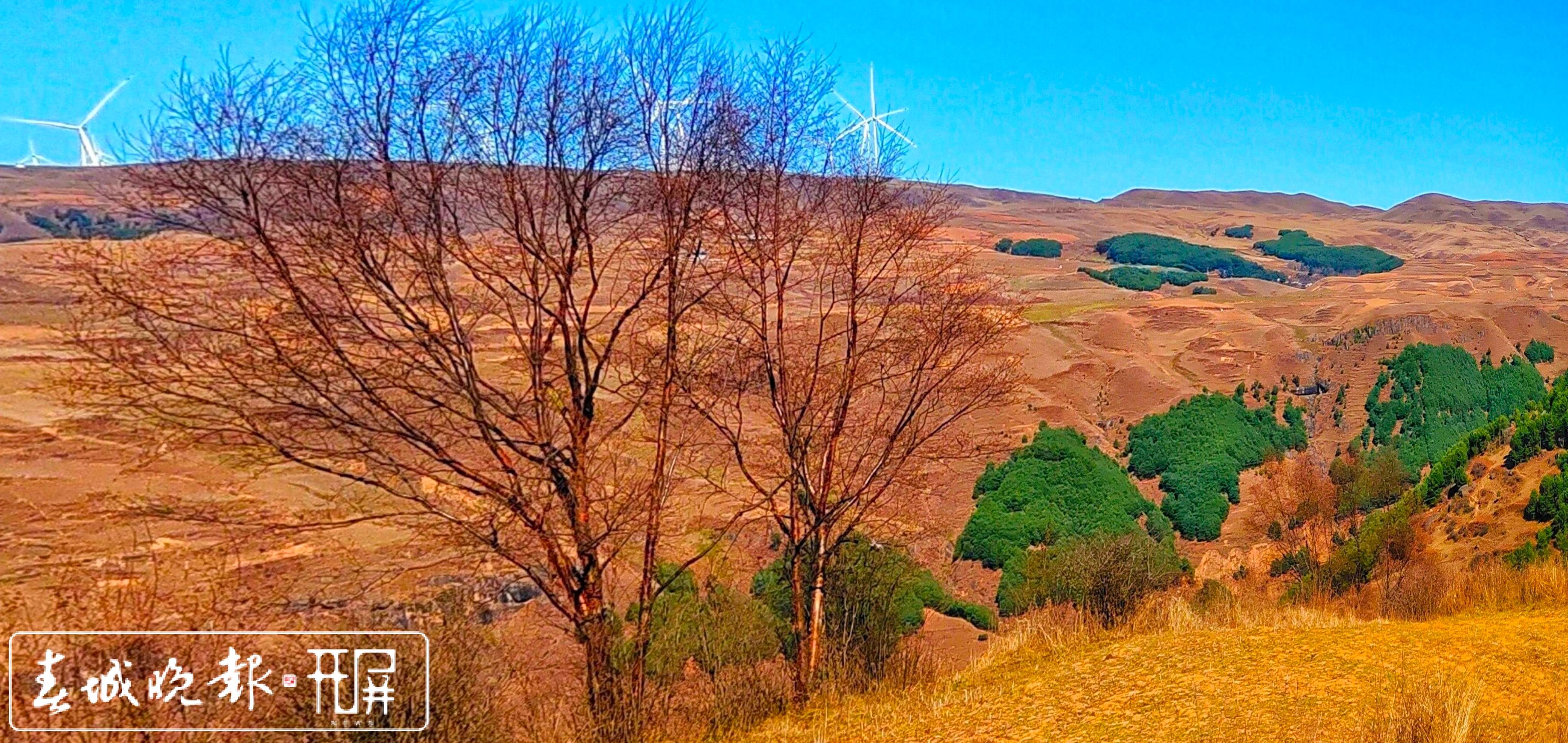 永善大陷凼湿地美景5(大风车).jpg