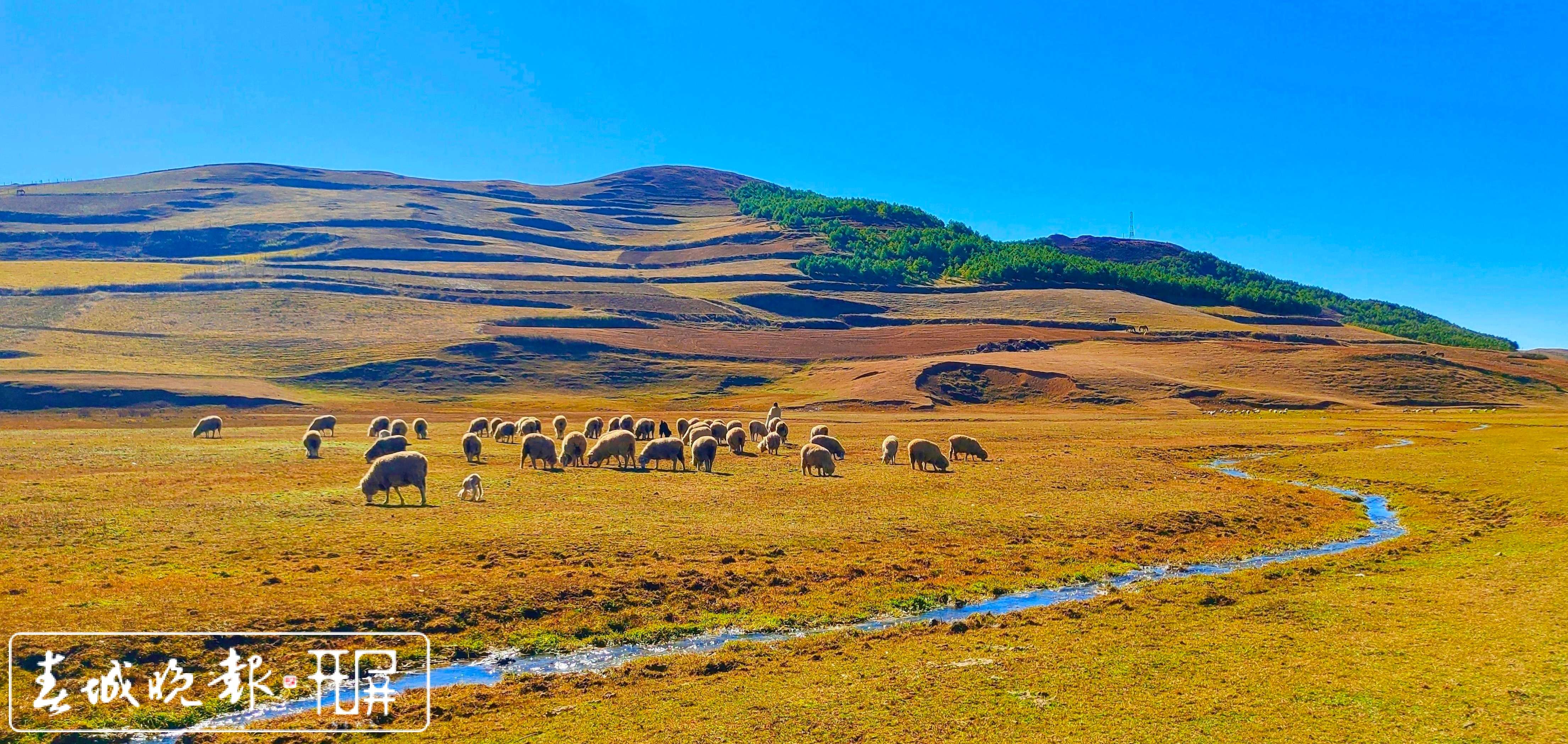 永善大陷凼湿地美景.jpg