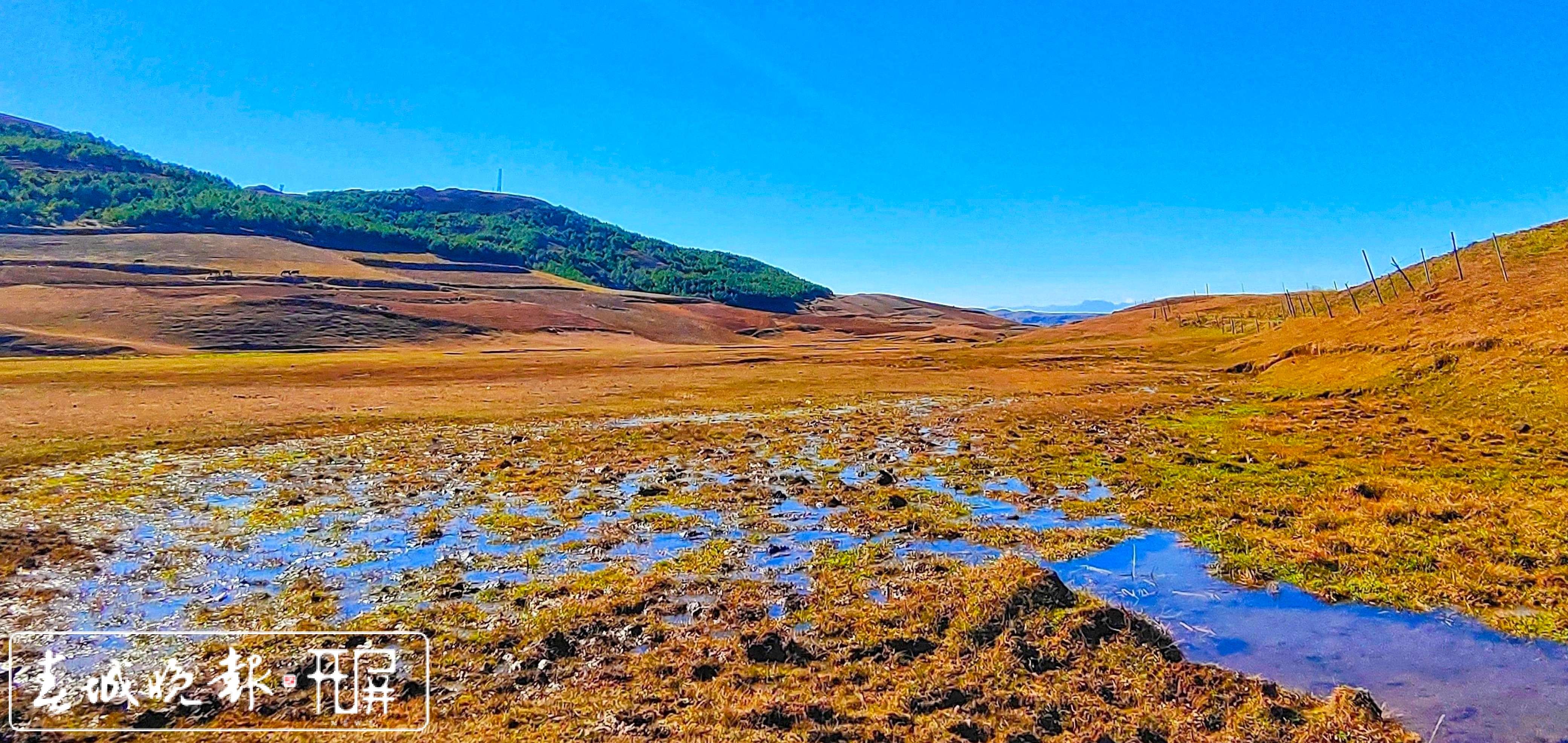 永善大陷凼湿地美景1.jpg