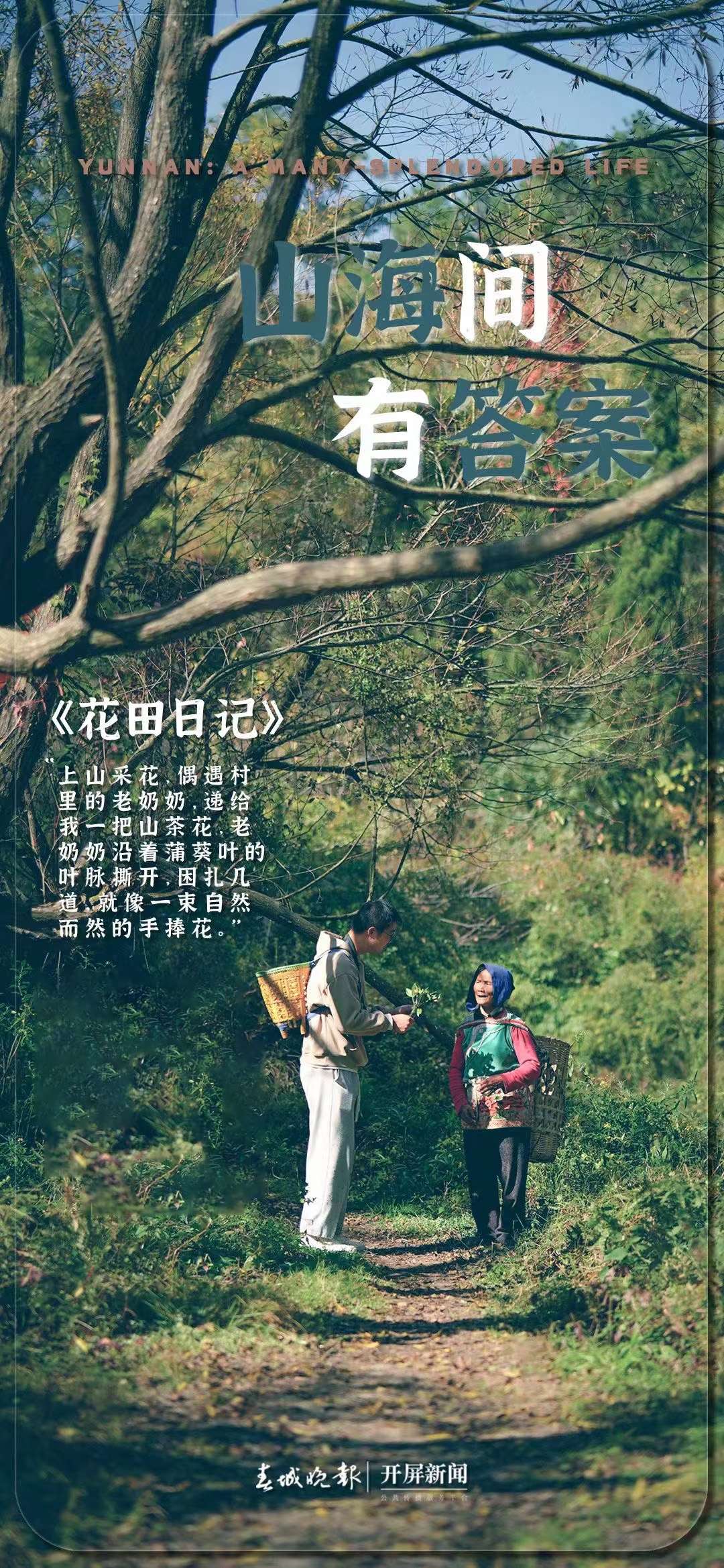 周一见（1211）