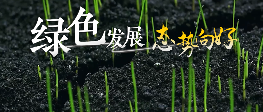 微视频|奋楫扬帆 绘就高质量发展新画卷