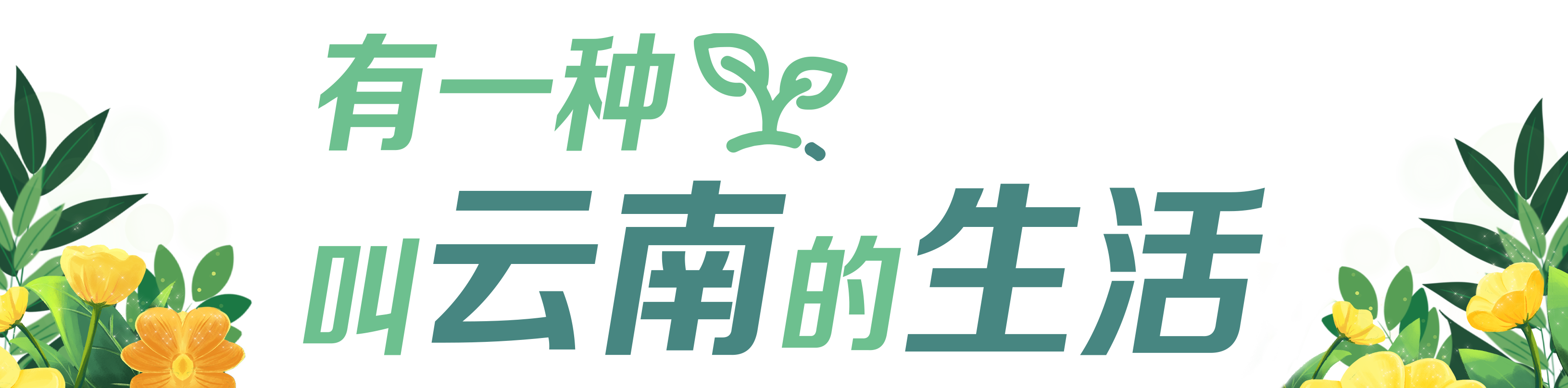 有一种叫云南的生活