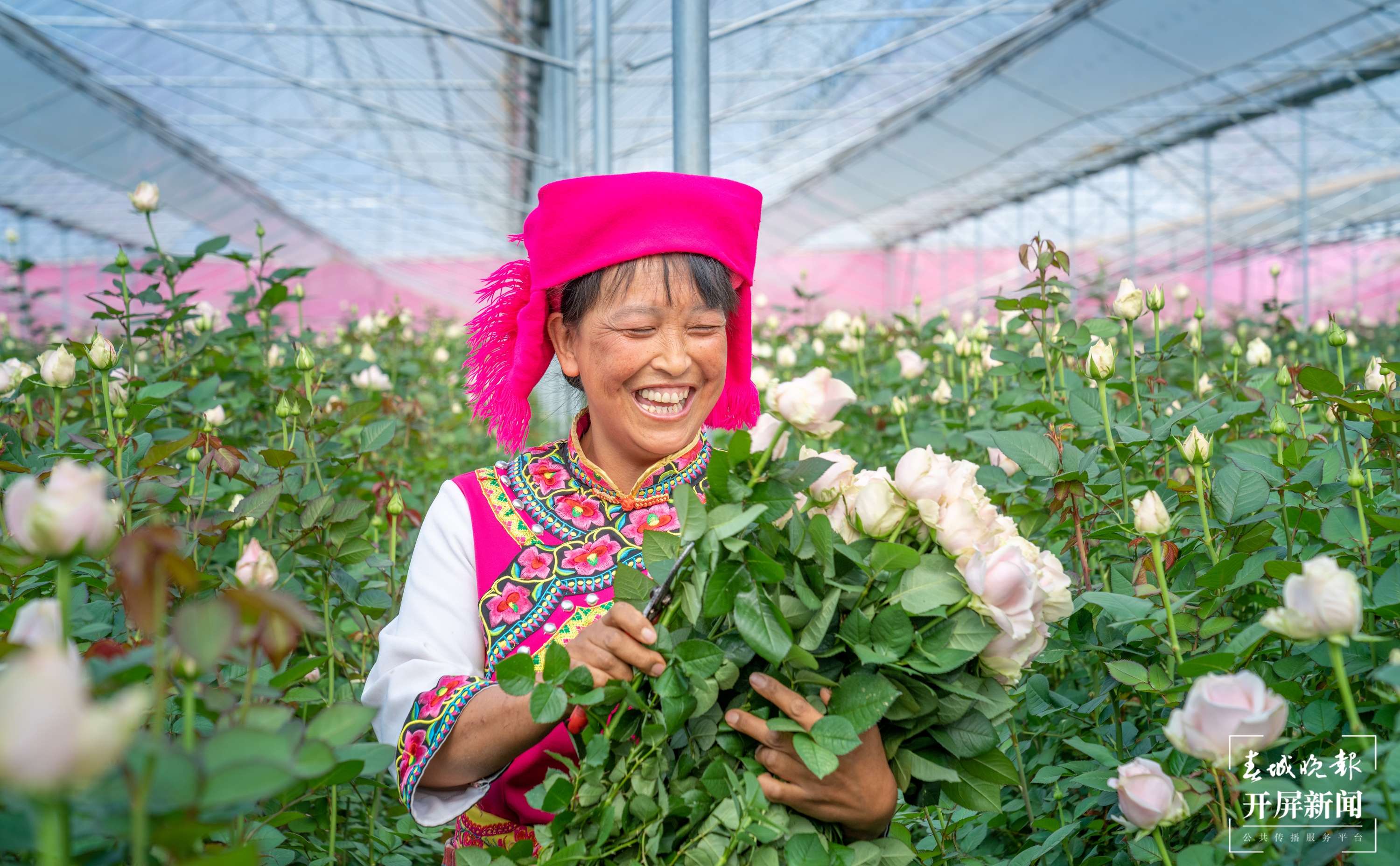 晋宁花卉.jpg