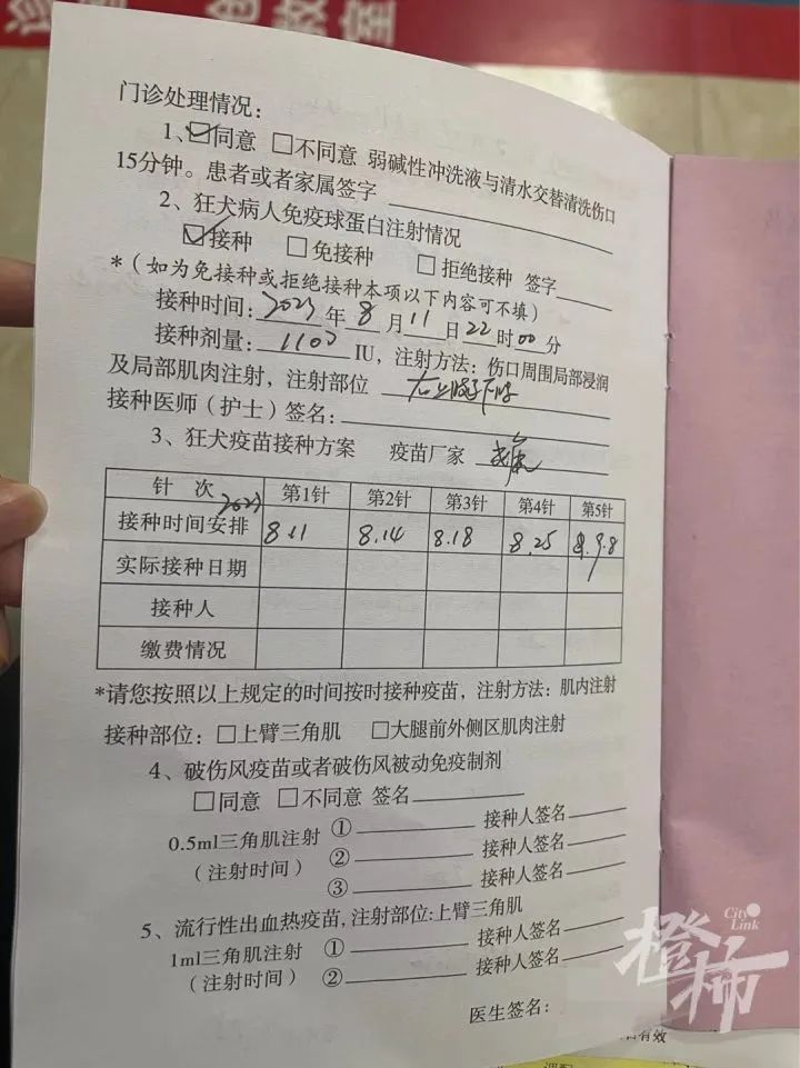 “碰瓷狗”诈骗（图源：橙柿互动·都市快报）