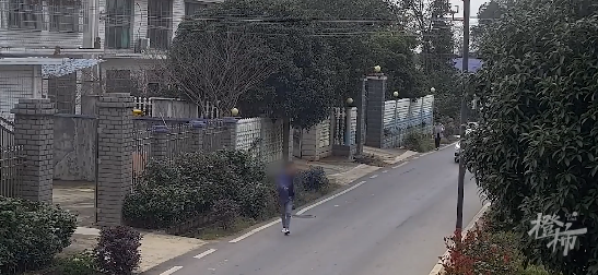 “碰瓷狗”诈骗（图源：橙柿互动·都市快报）