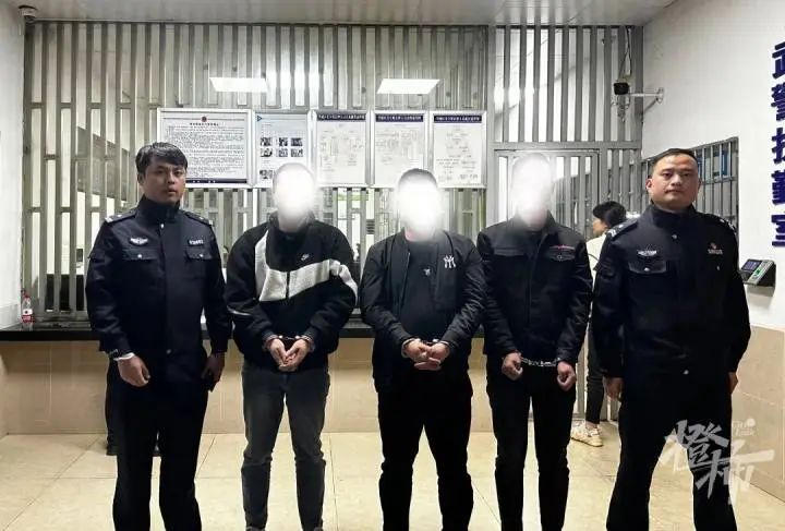 “碰瓷狗”诈骗（图源：橙柿互动·都市快报）