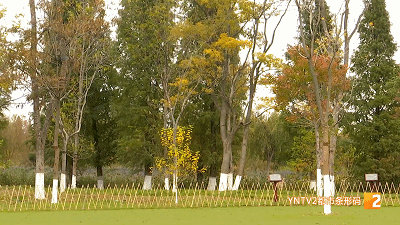 640 (1).gif