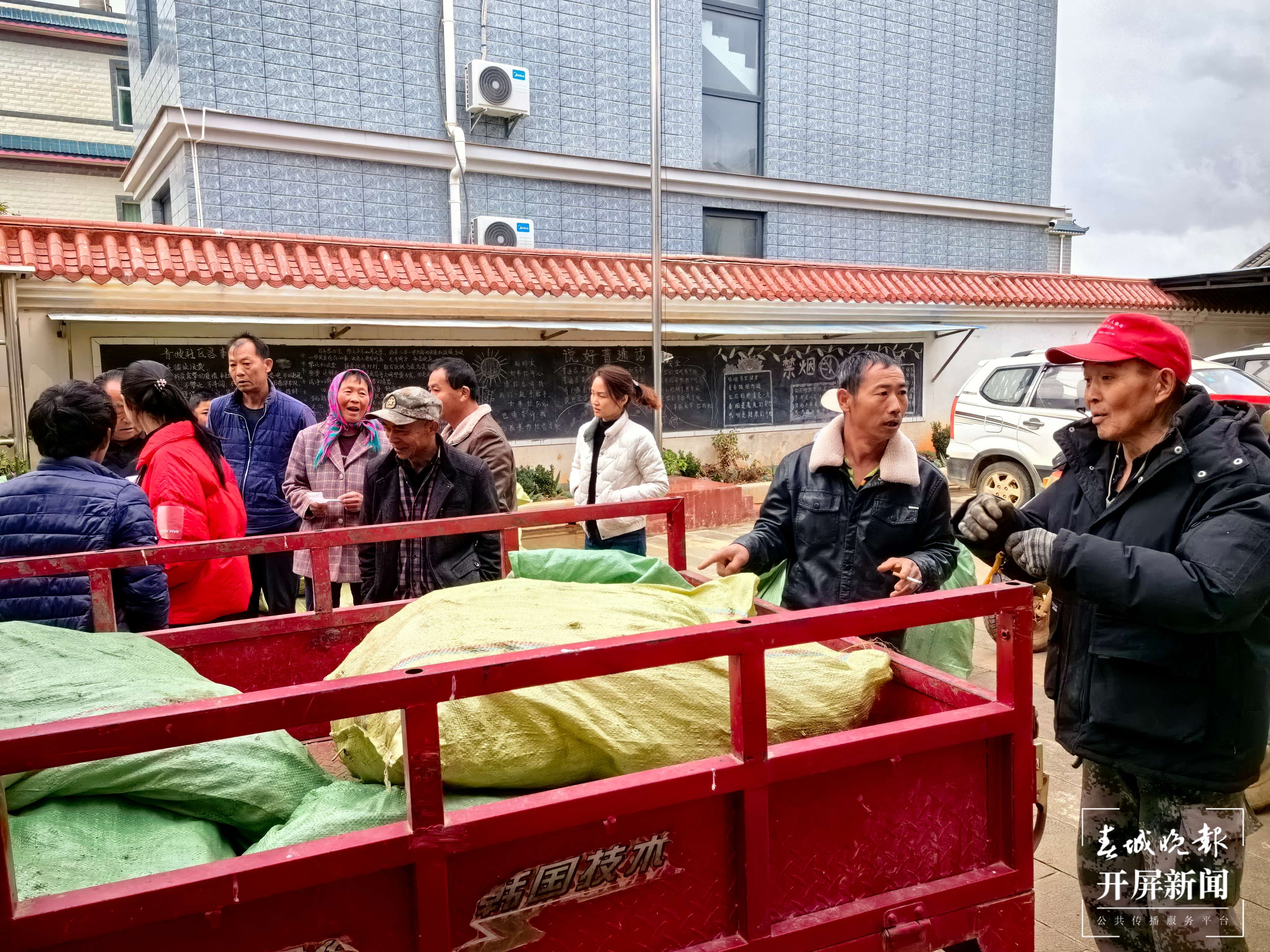 （采访传编辑）从浙江采购7万株桑苗！大理祥云蚕桑产业持续稳定发展 (2).jpg