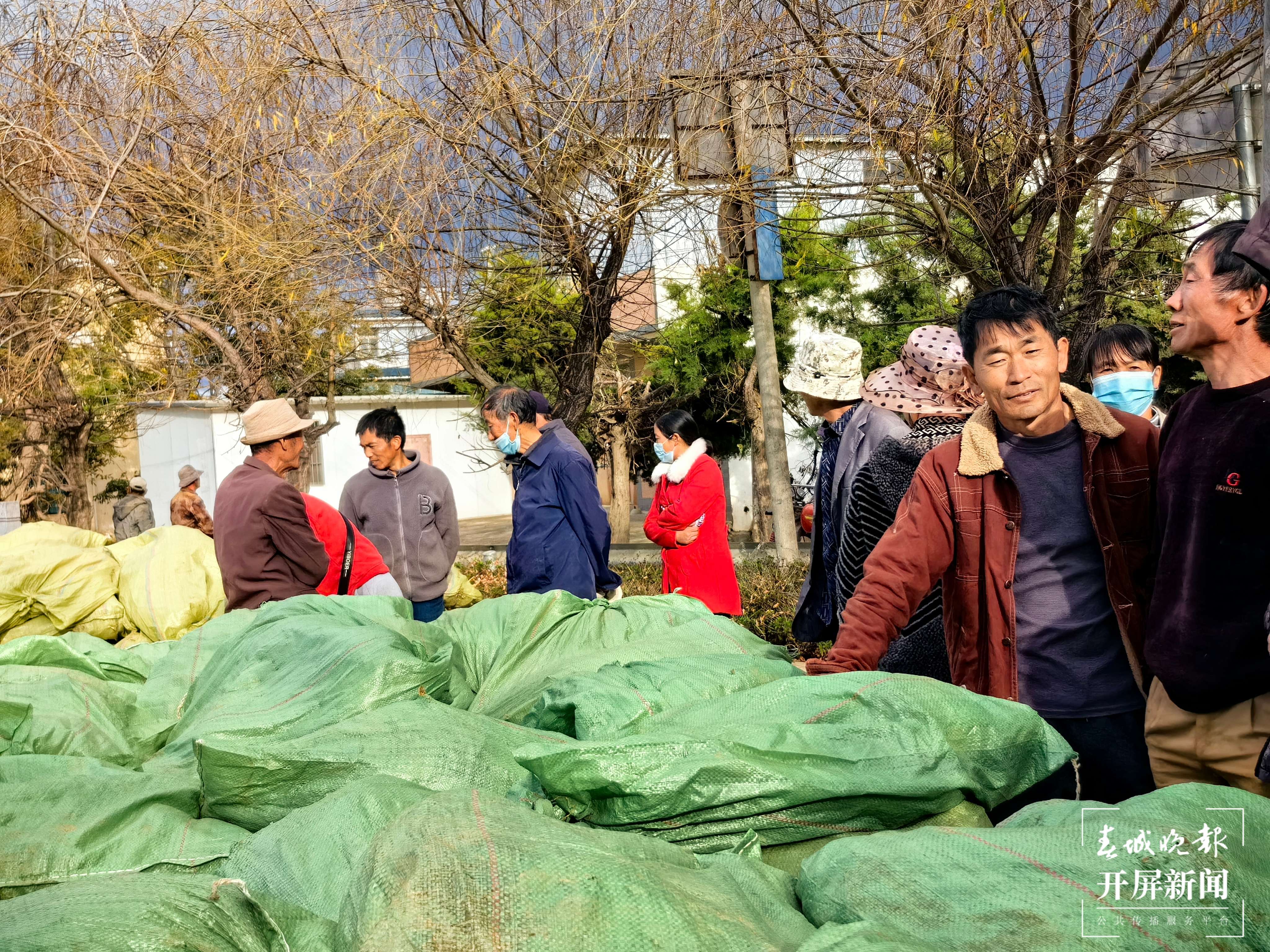（采访传编辑）从浙江采购7万株桑苗！大理祥云蚕桑产业持续稳定发展 (5).jpg