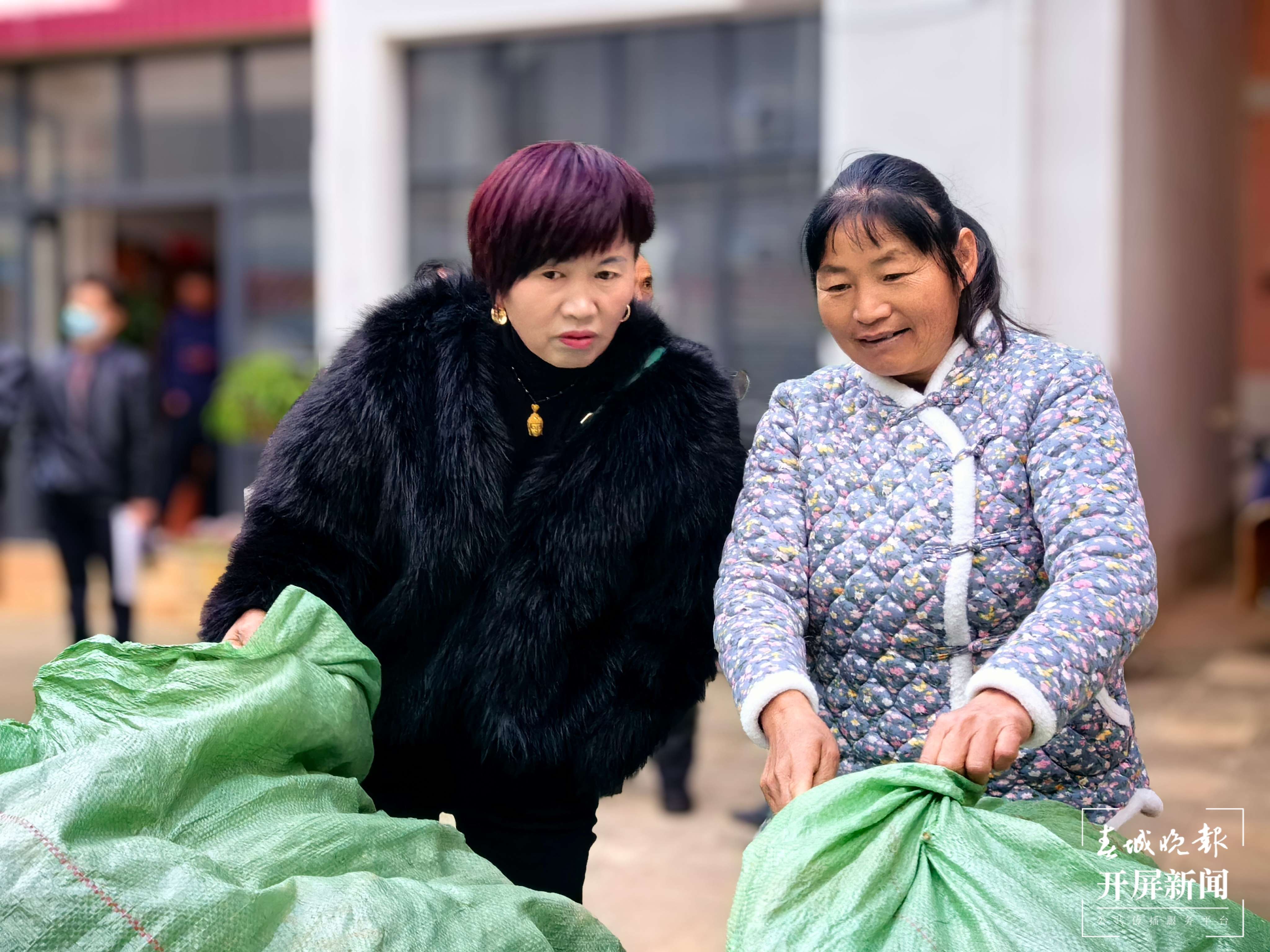 （采访传编辑）从浙江采购7万株桑苗！大理祥云蚕桑产业持续稳定发展 (6).jpg