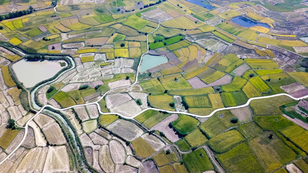 强国建设、民族复兴的必由之路——以习近平同志为核心的党中央引领新时代改革开放纪实