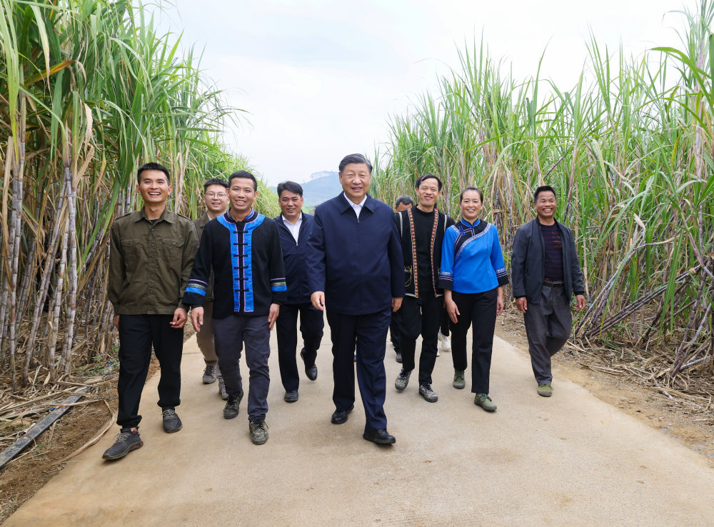 幸福的歌声 希望的田野8.jpeg
