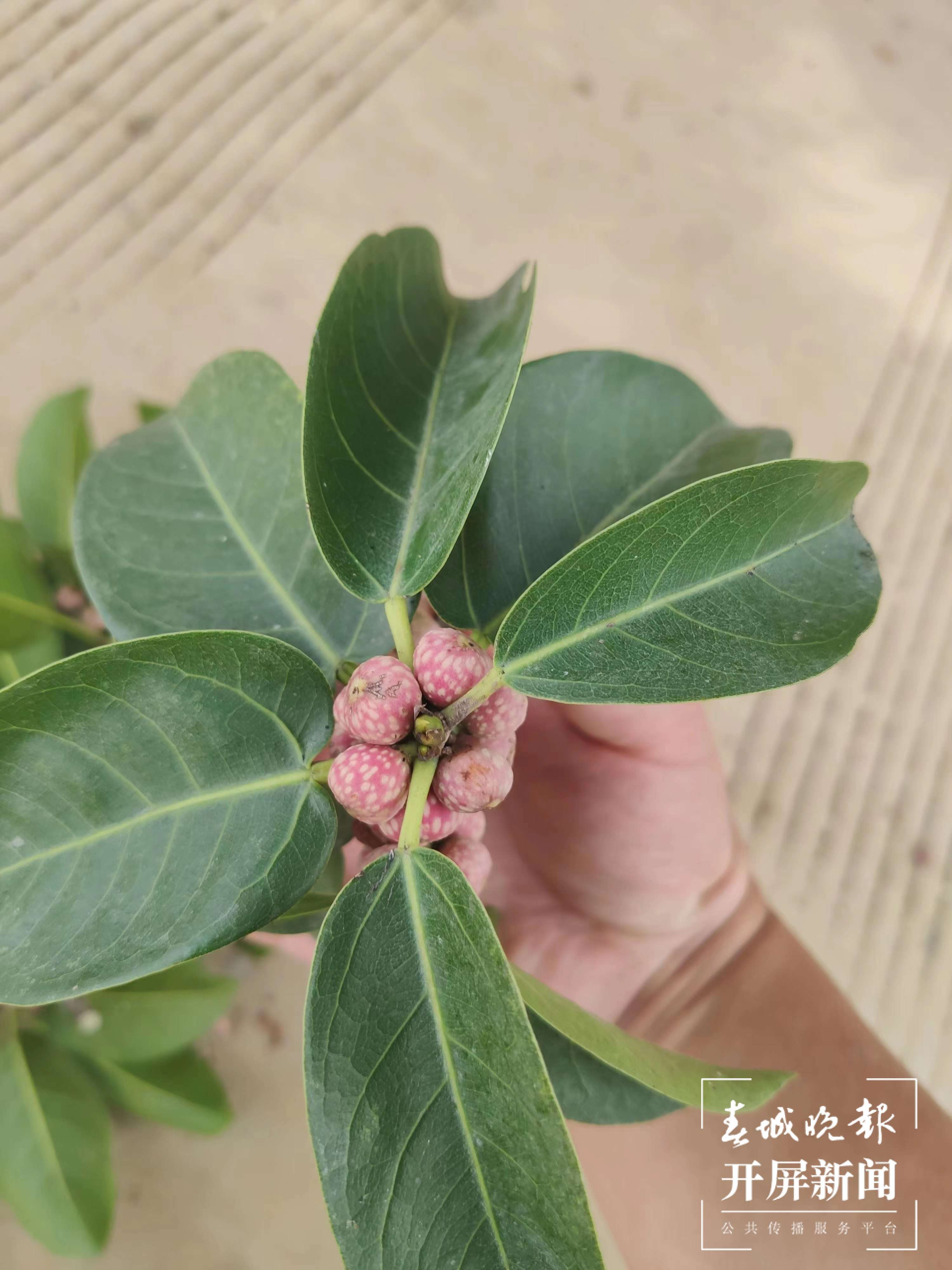 微信图片_20231219130313.jpg