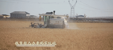 微视频2.gif