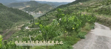微视频3.gif