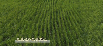 微视频4.gif