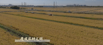 微视频5.gif