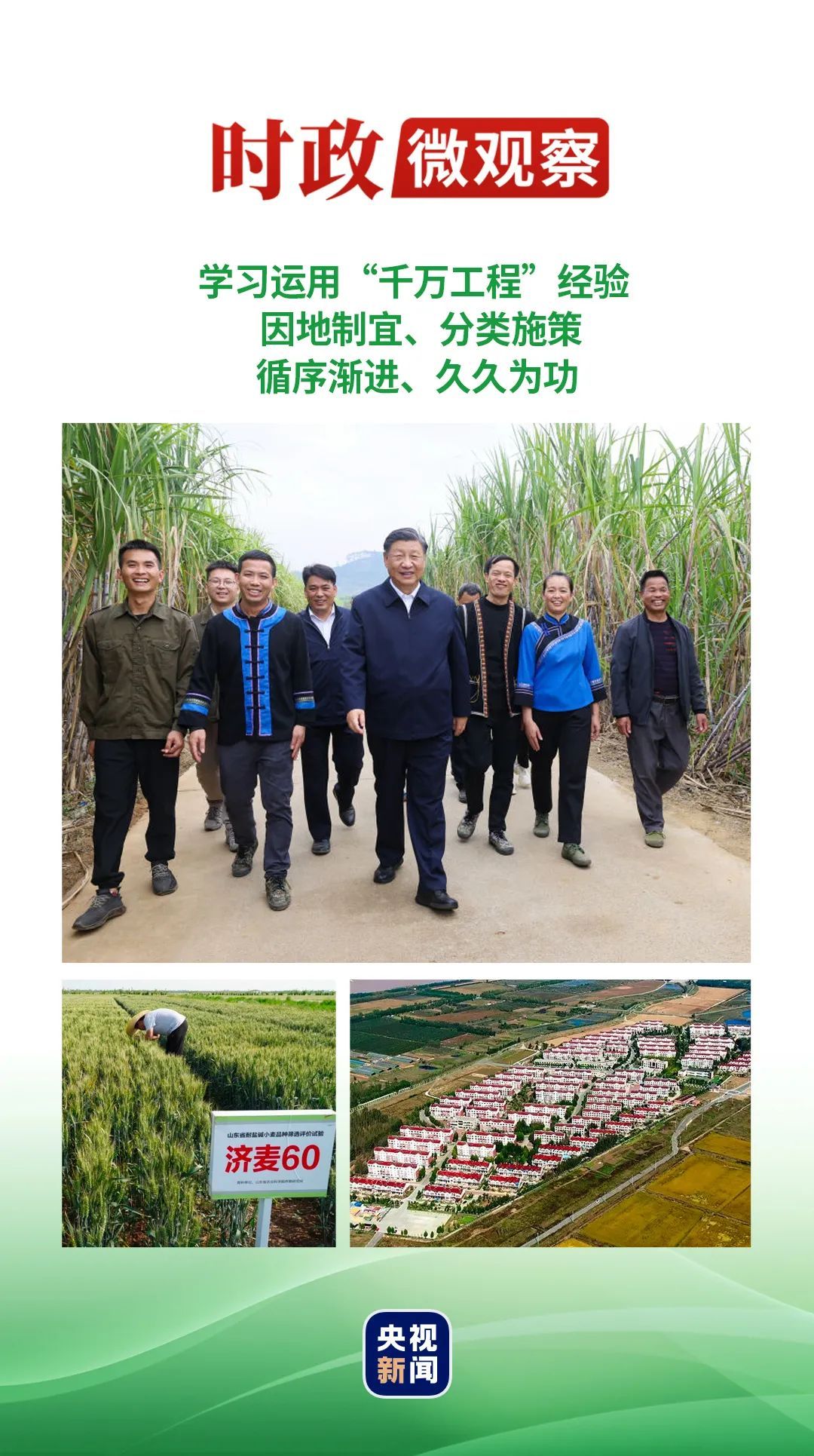 时政微观察1.jpg