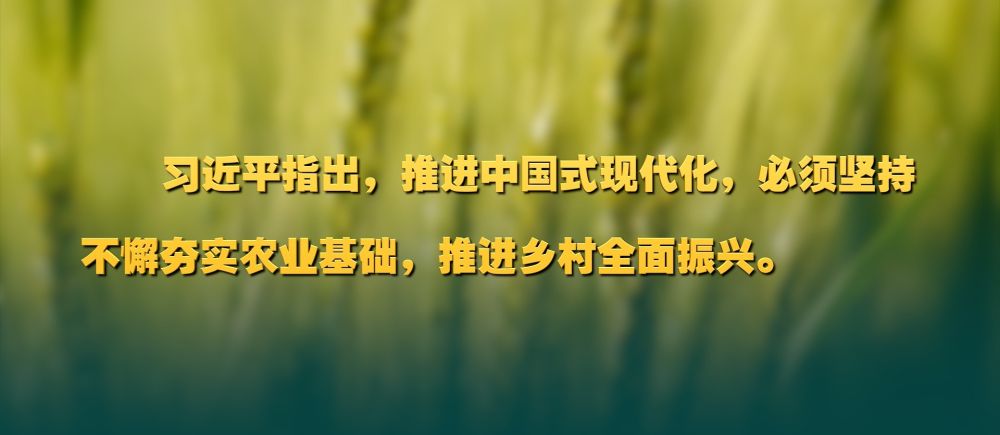 微视频2.jpg