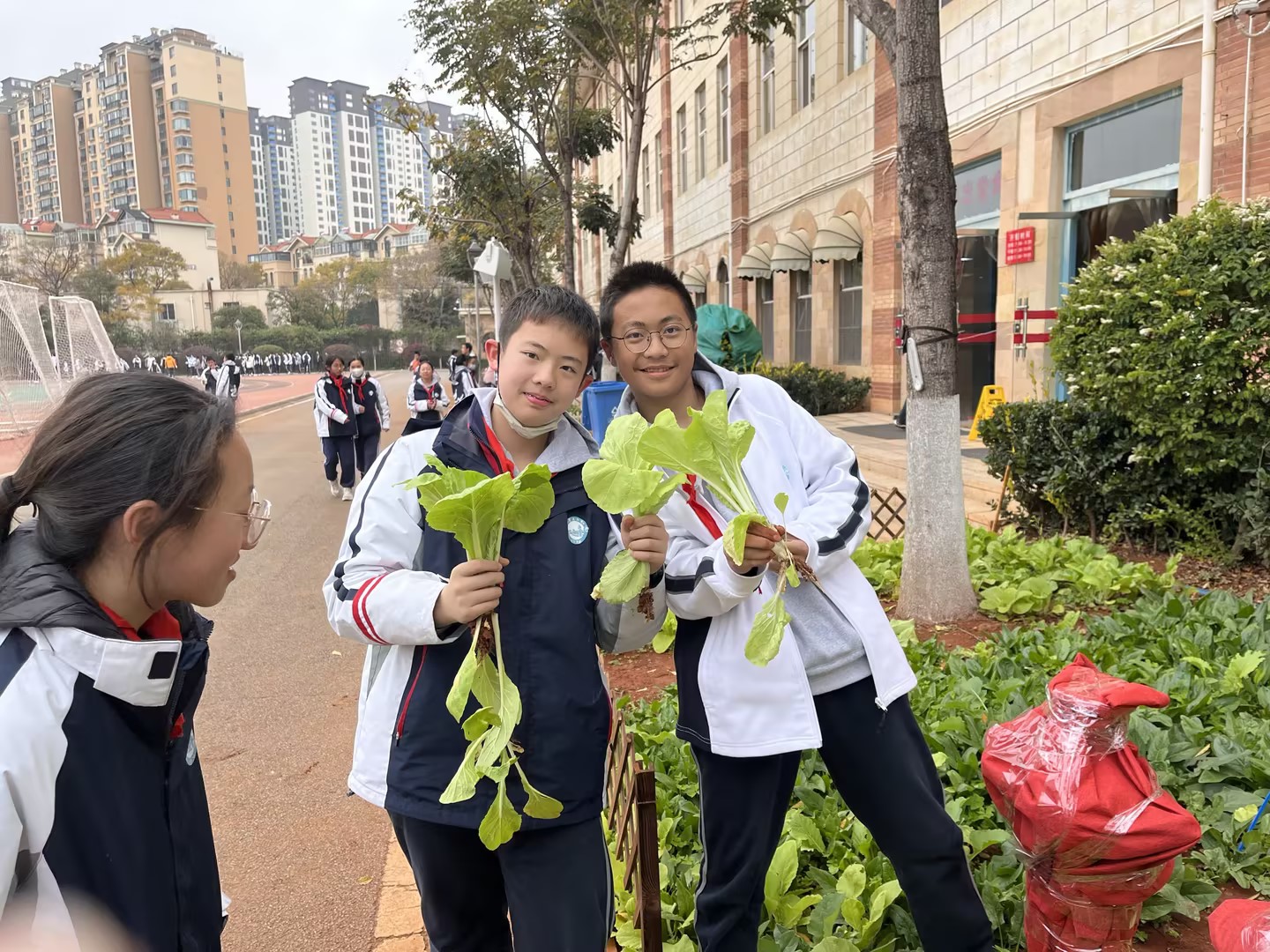 云附星耀冬至“防冻耳朵”劳动教育特色活动