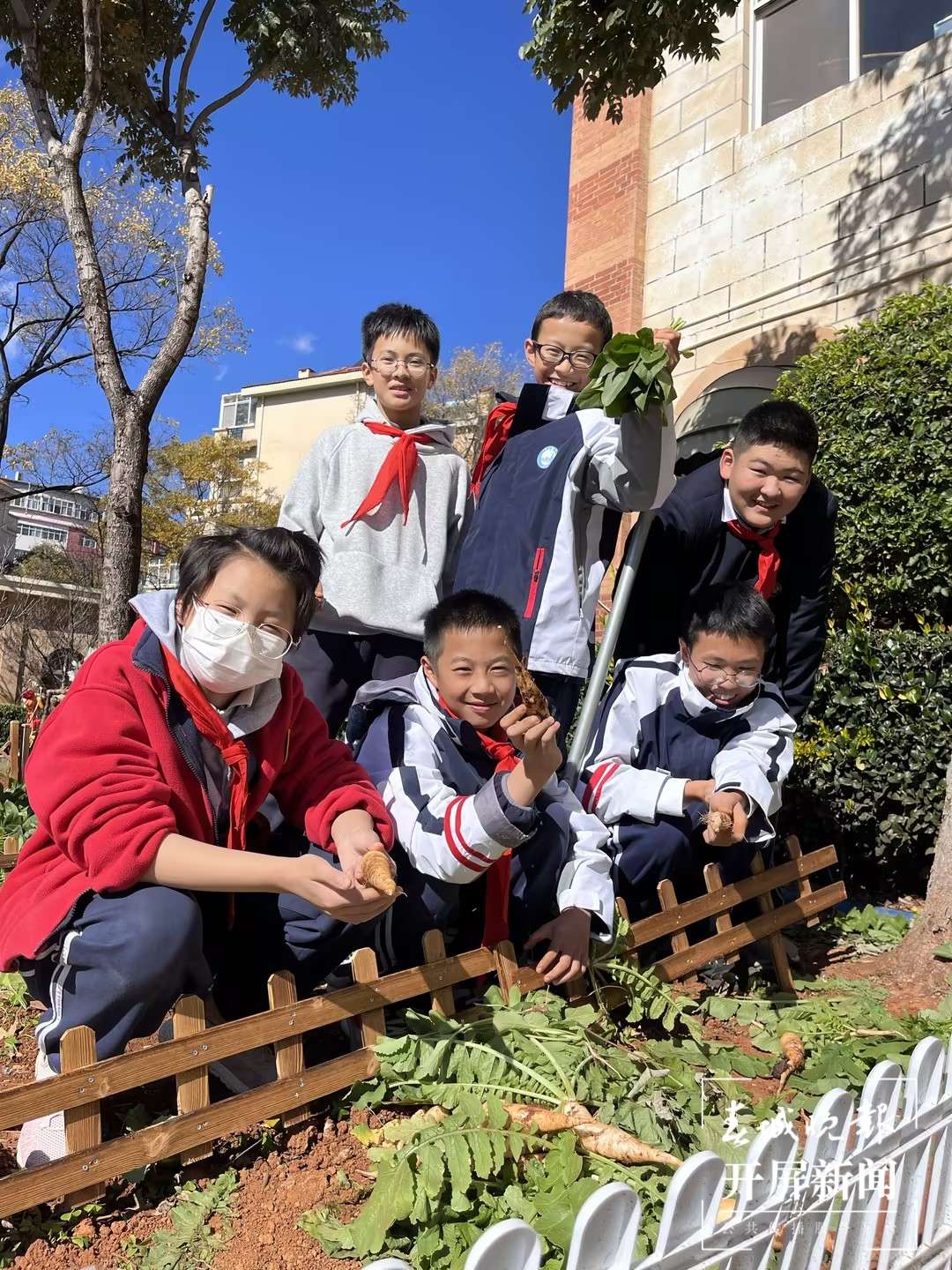 云附星耀冬至“防冻耳朵”劳动教育特色活动