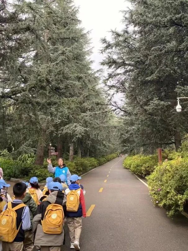 盘龙小学3.jpg