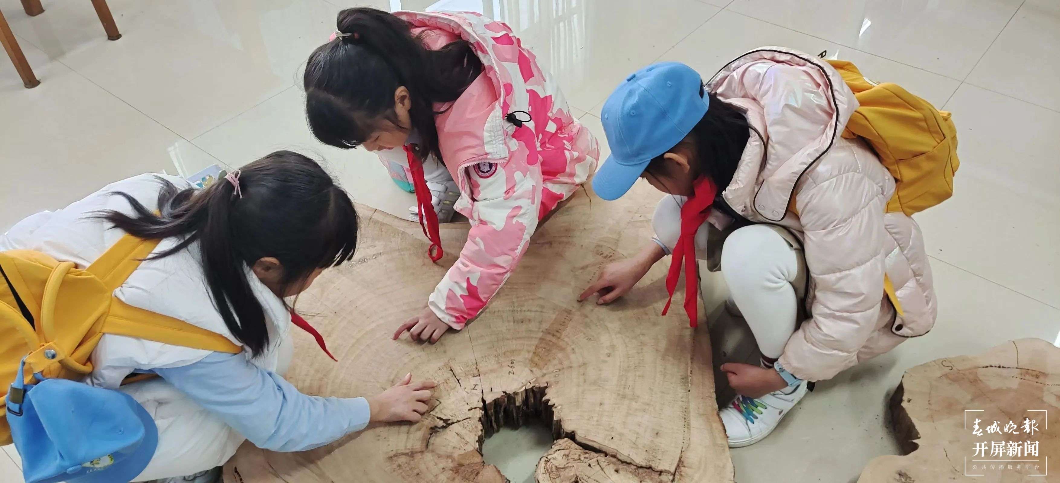 盘龙小学6.jpg