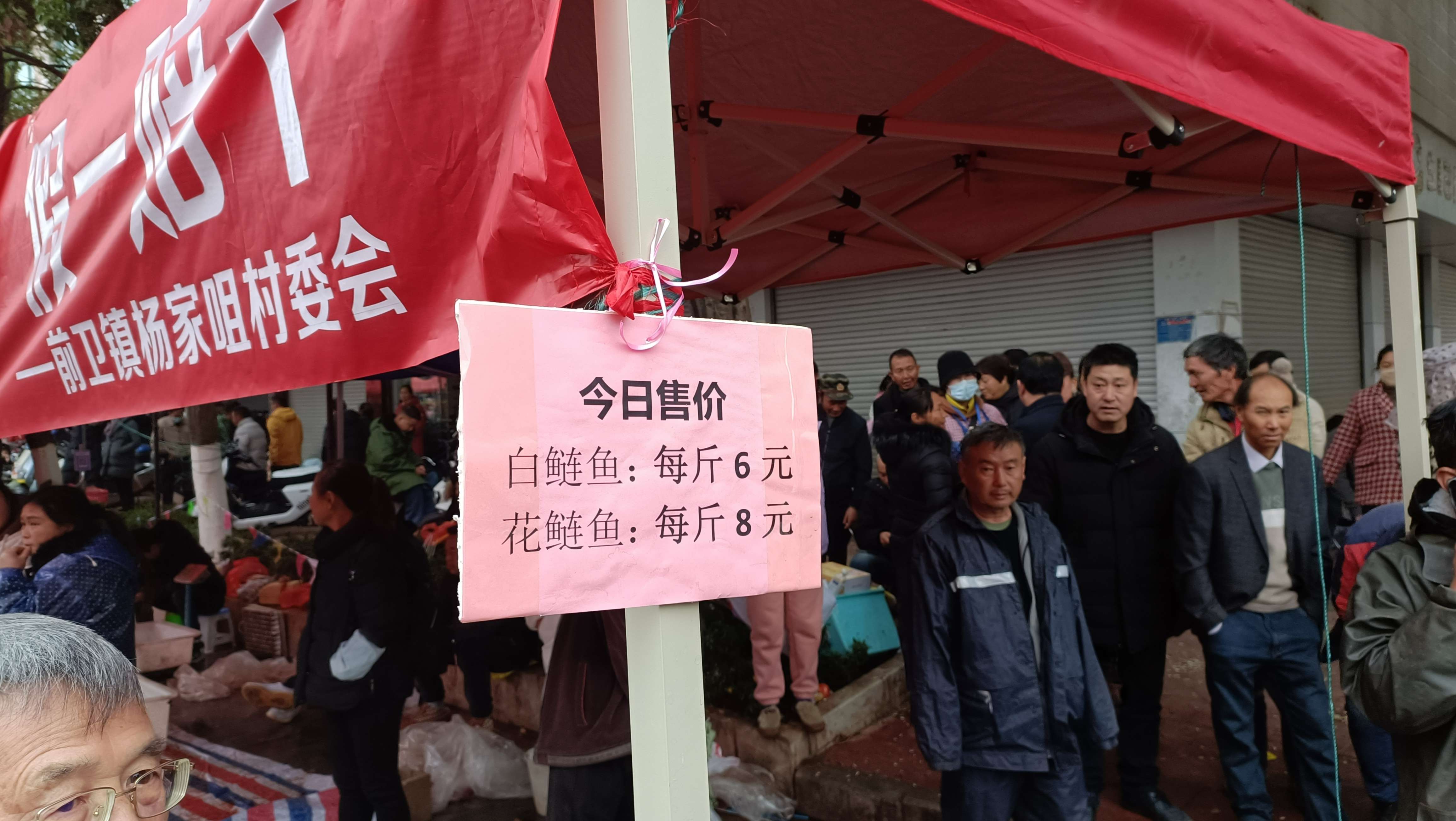 12月25日江川开渔节 (5).jpg