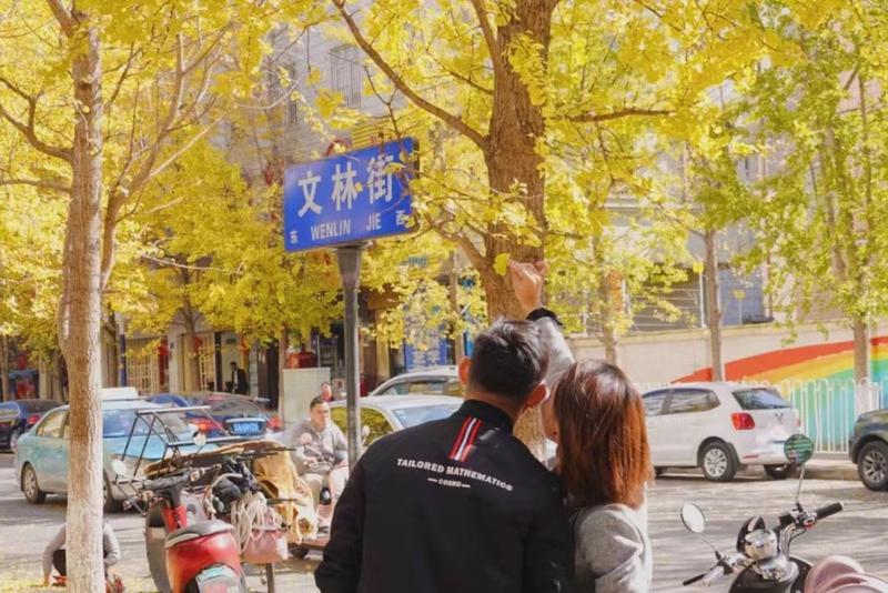 昆明第二届银杏艺术节邀你打卡啦！（开屏新闻记者 张田睿 摄）