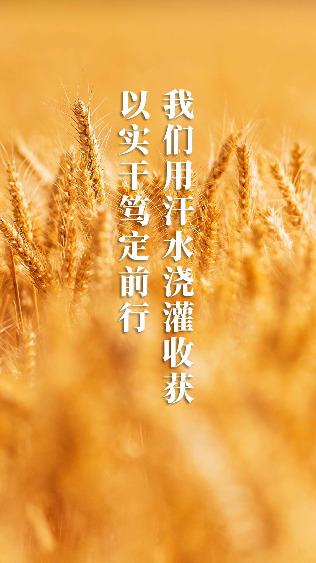 为奋斗者加油 10张海报重温习近平新年贺词7.jpg