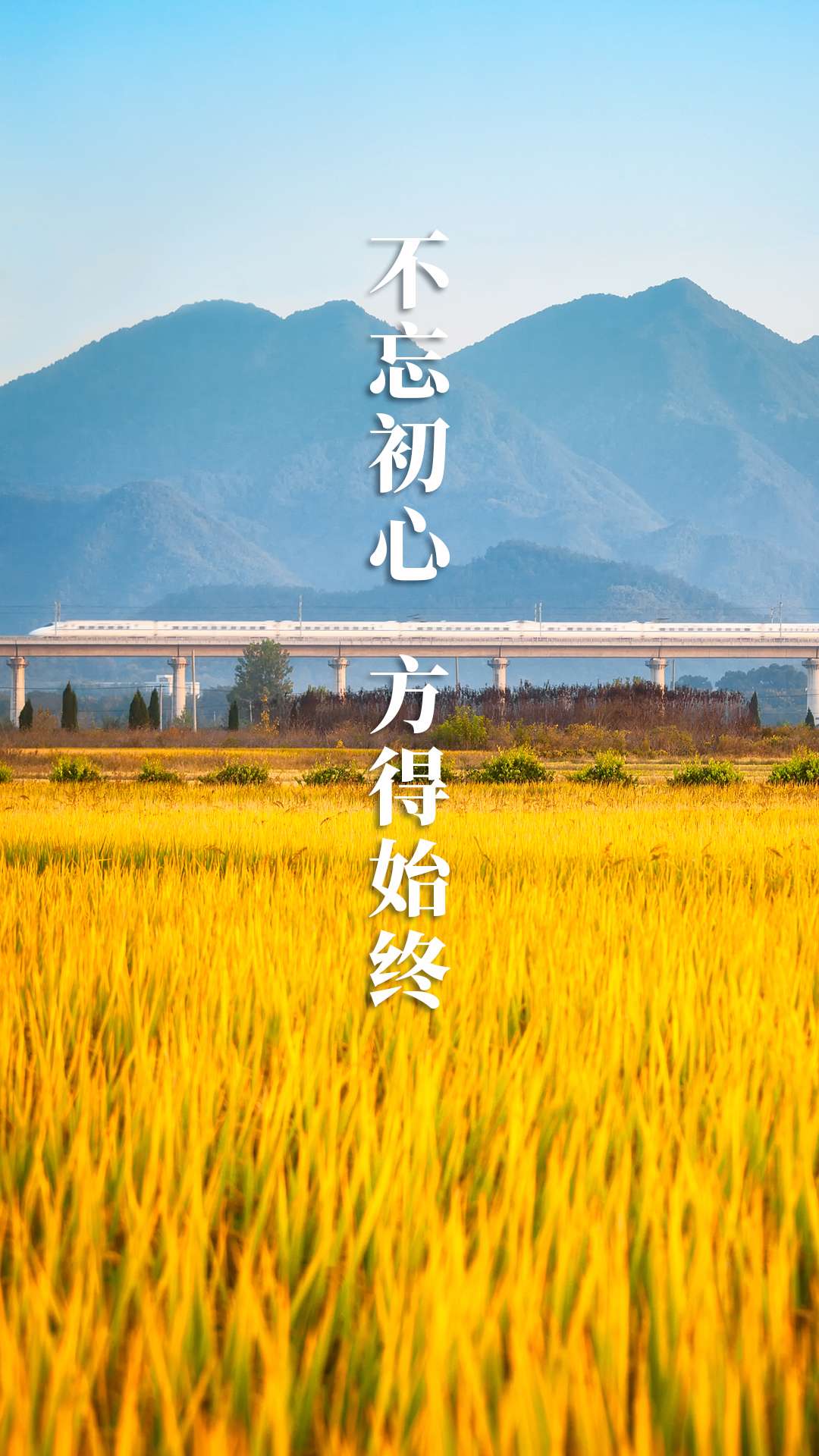 为奋斗者加油 10张海报重温习近平新年贺词9.jpg