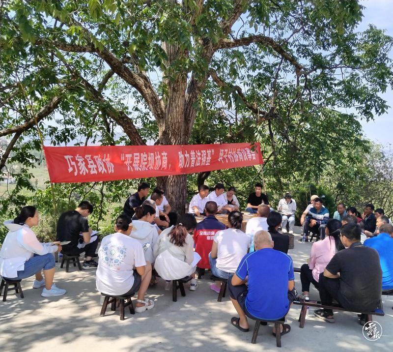 图源 云报客户端