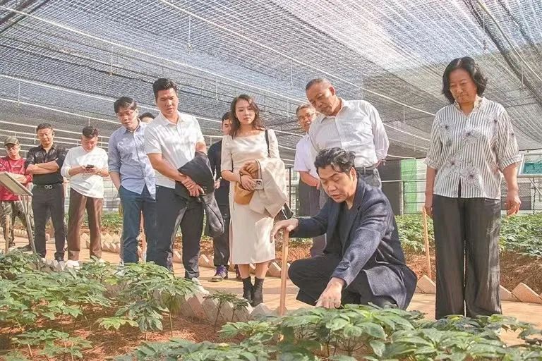 图源 云报客户端