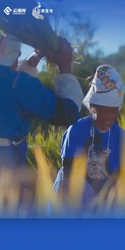5.gif