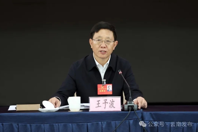 王予波参加楚雄州代表团审议时强调1.png