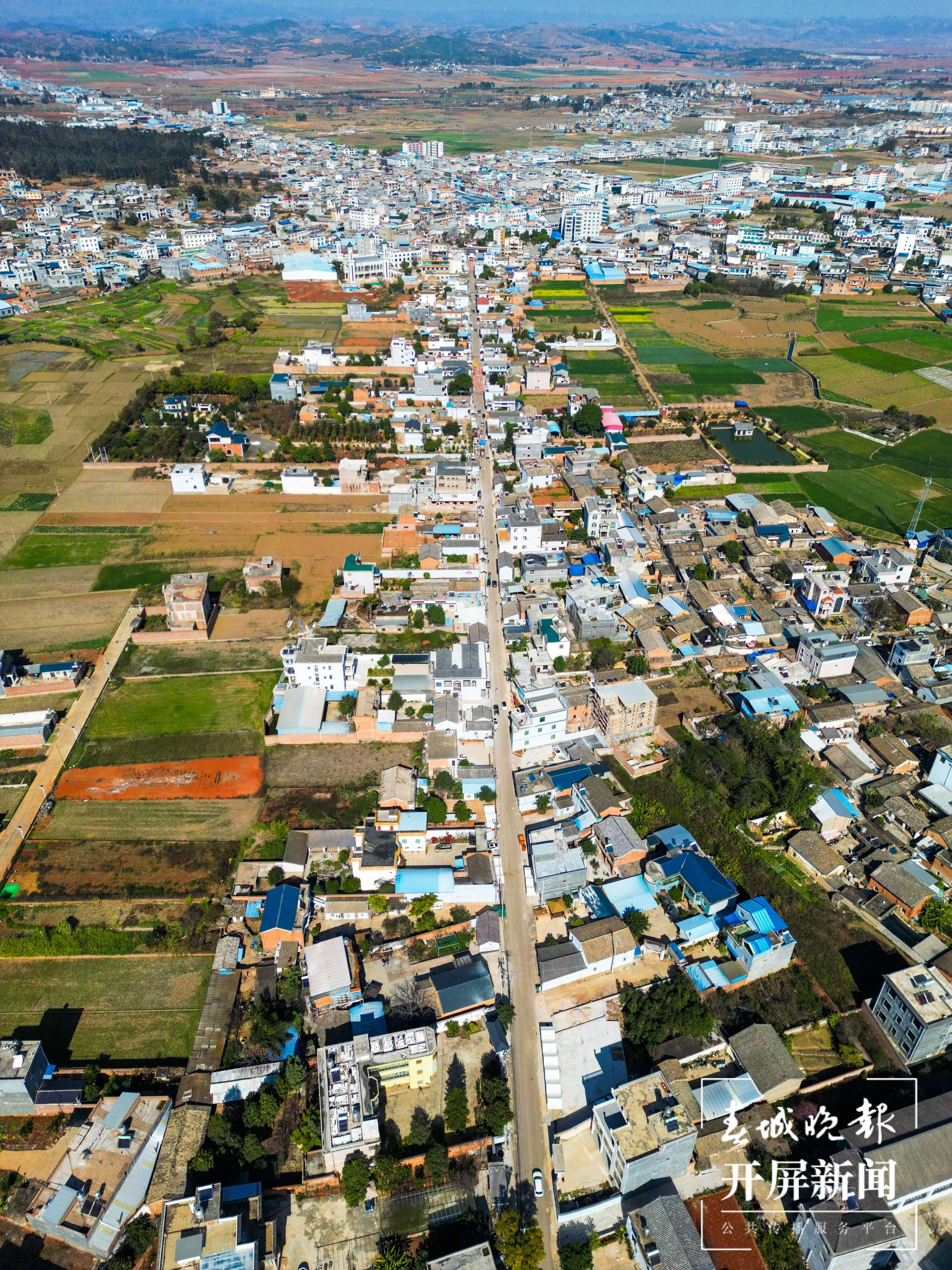 20240131-DJI_0016.jpg