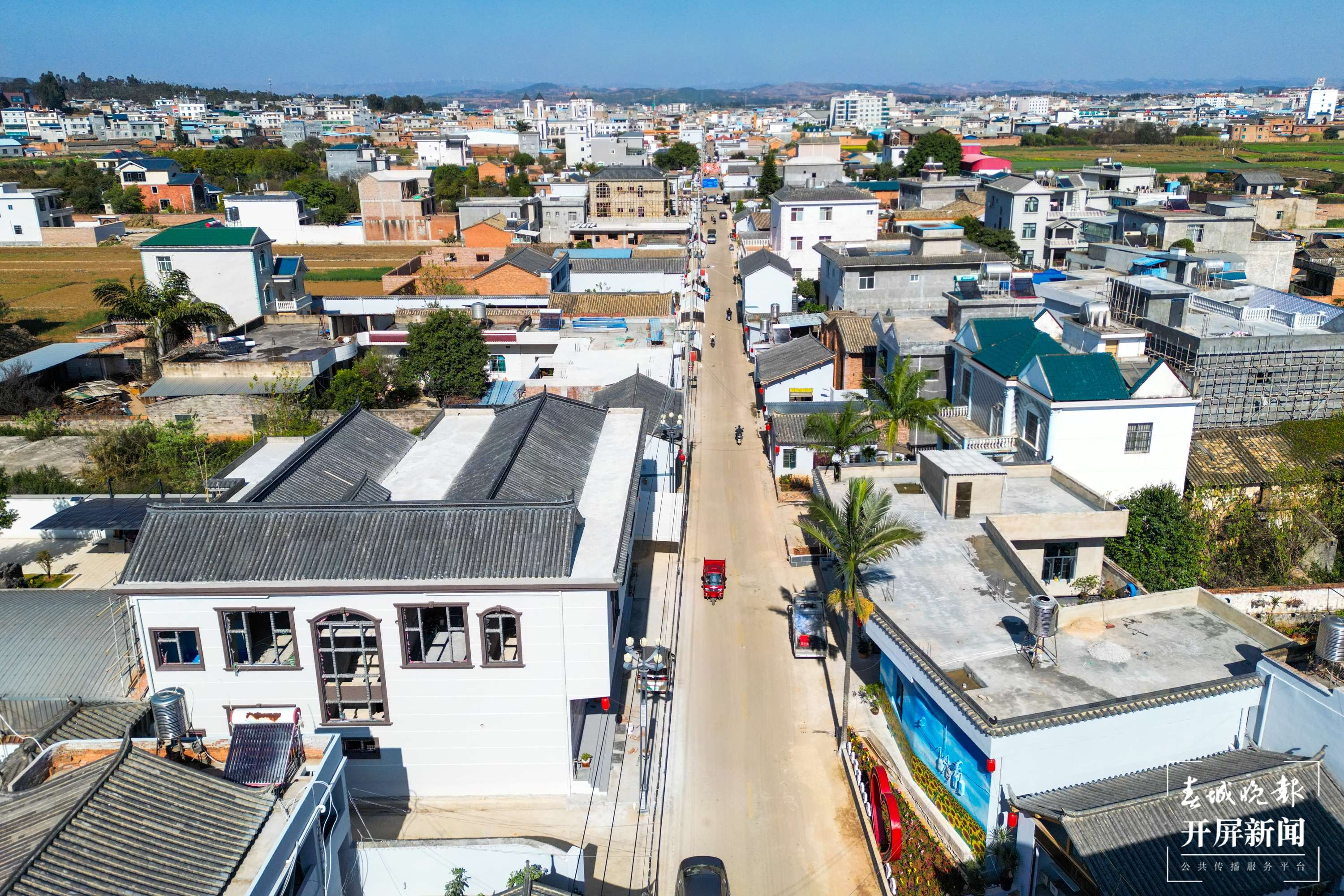 20240131-DJI_0019.jpg