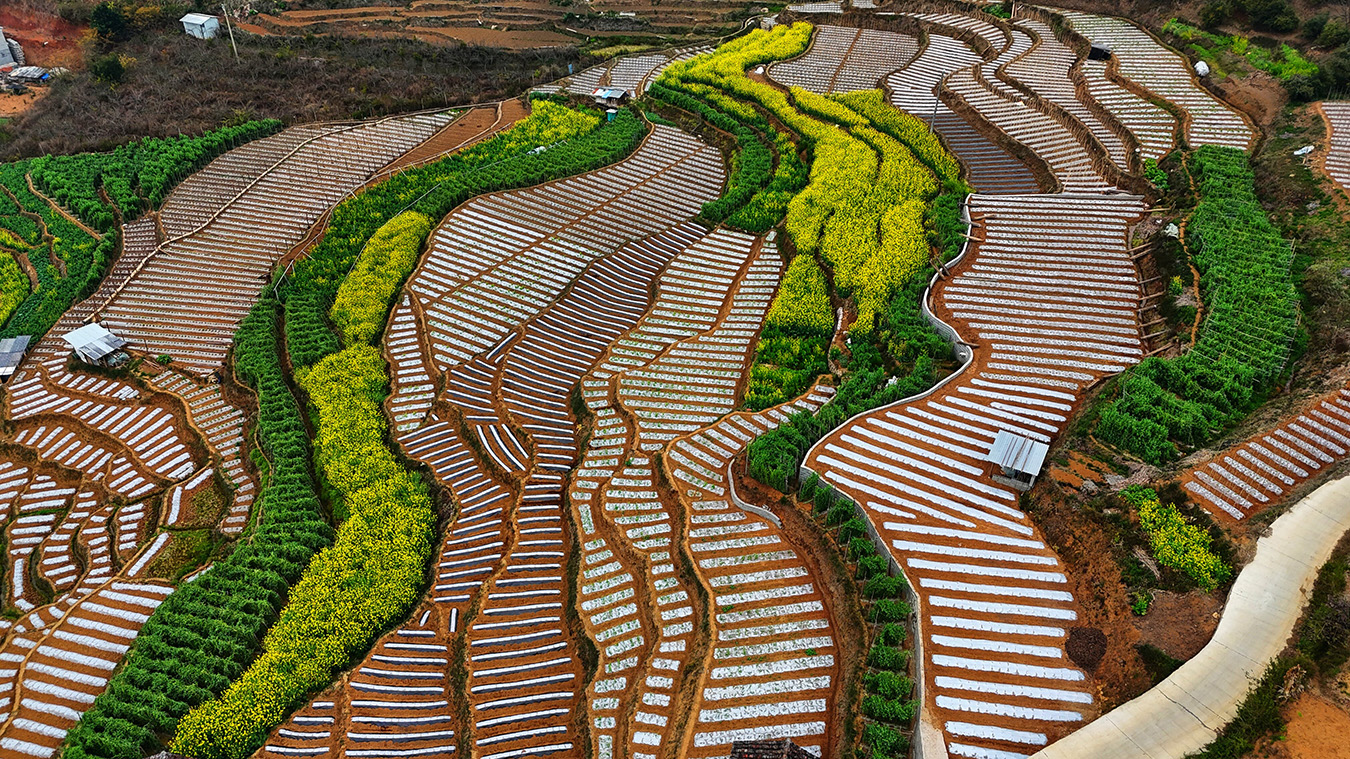 赵辉摄 (3).JPG