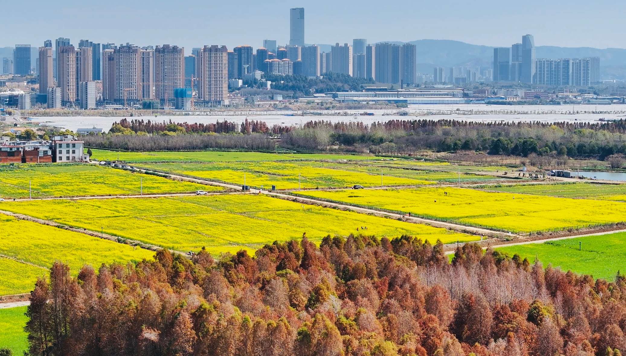 江尾村2.jpg