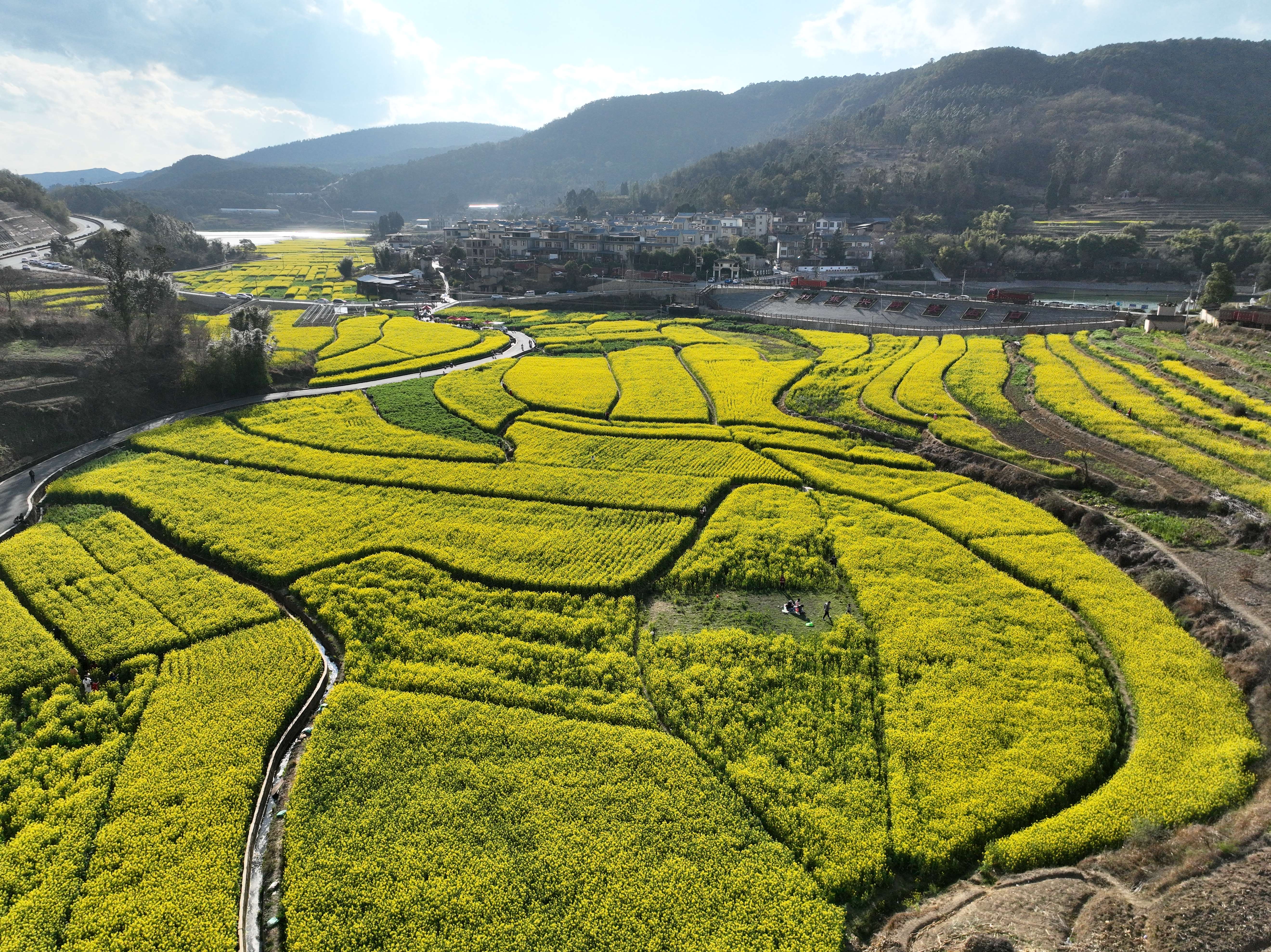 山口村.jpg
