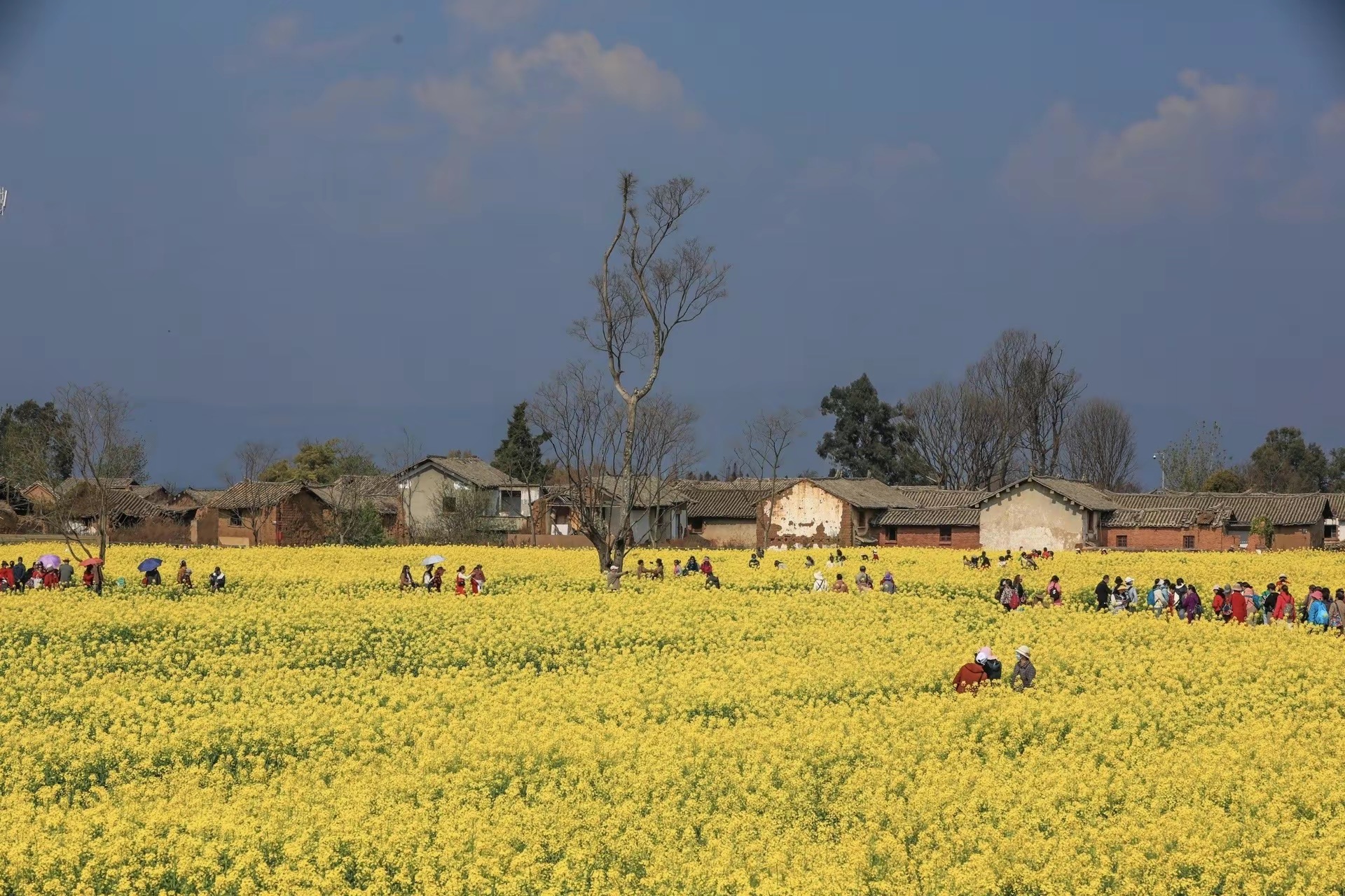 卧龙古渔村6.jpg
