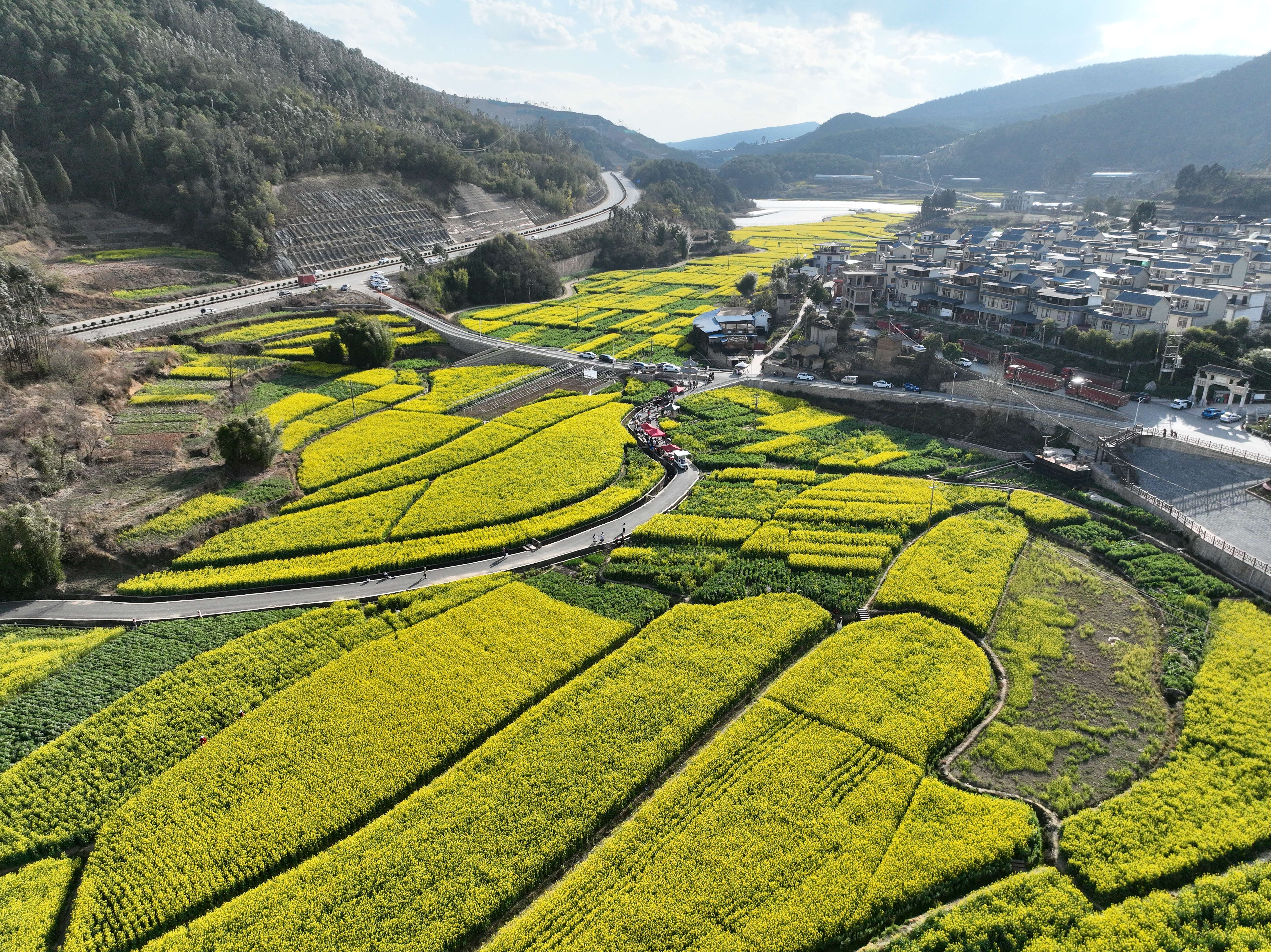 山口村3.jpg