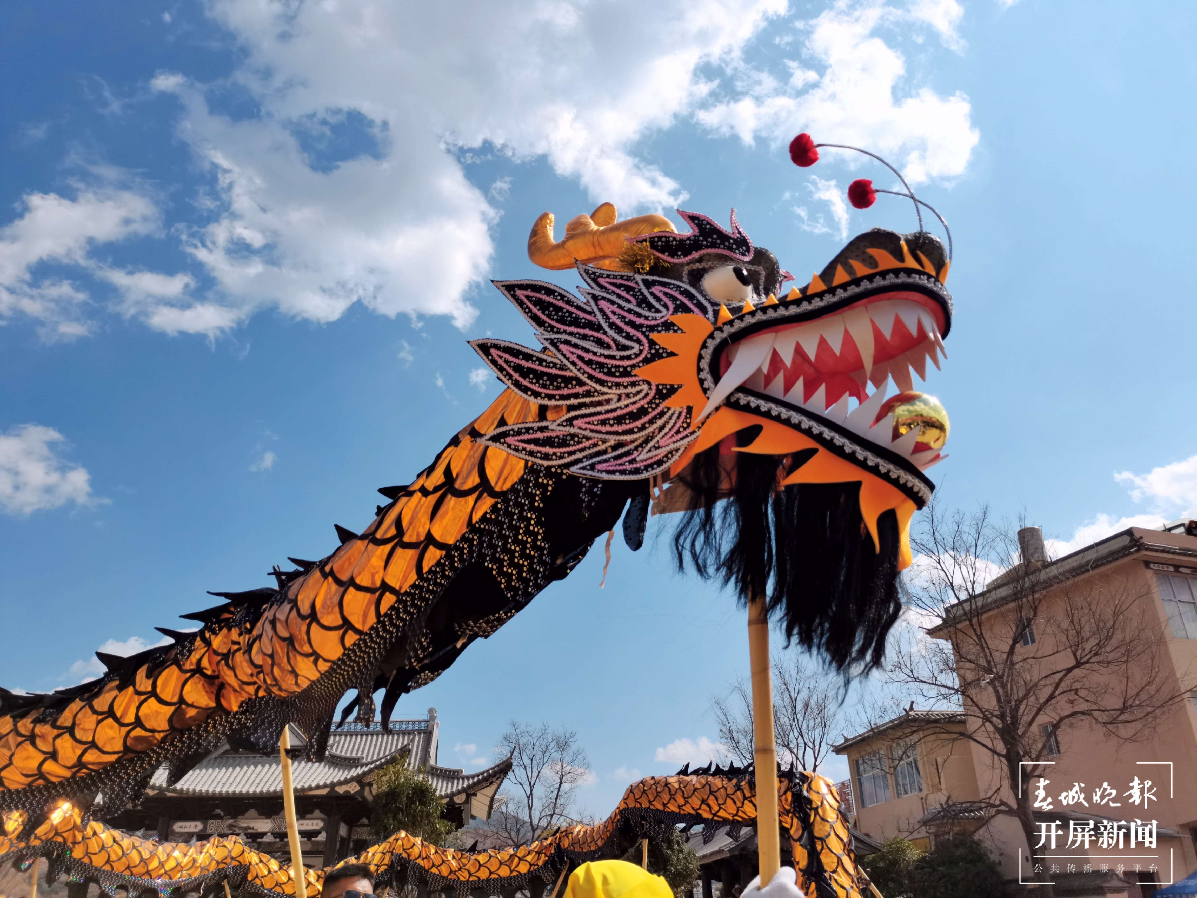 花灯盛会闹元宵!油菜花开满地黄!大理这个地方很好逛 (1).jpg